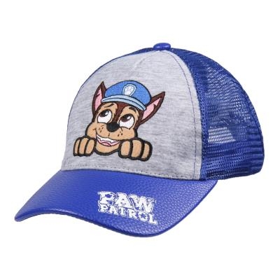 paw patrol hat logo